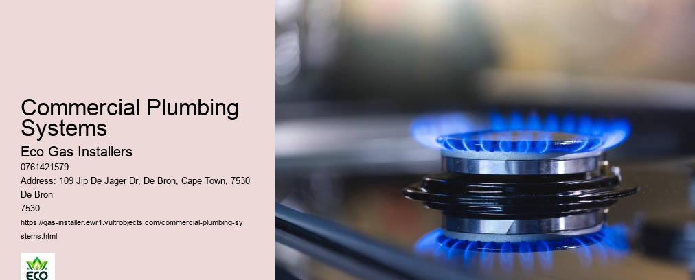 Commercial Plumbing Systems