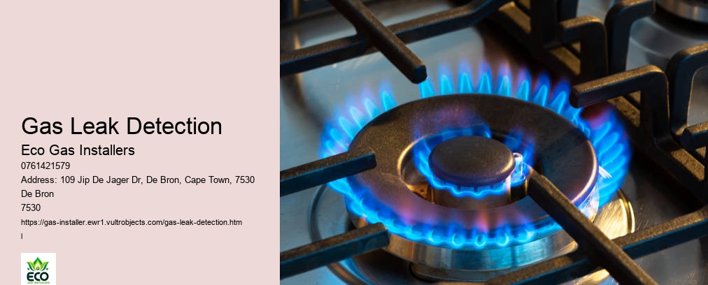 Gas Leak Detection